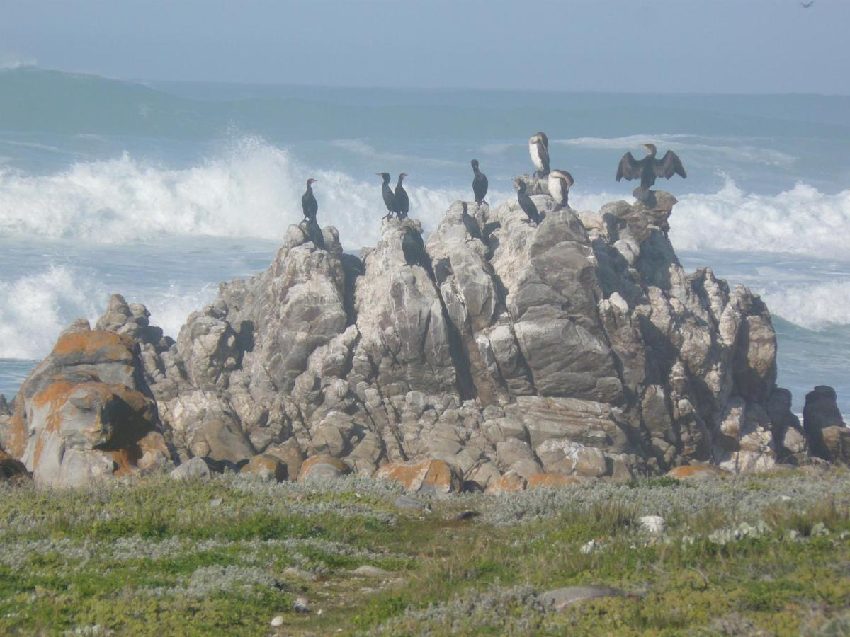 House Of 2 Oceans Apartamento Agulhas Exterior foto