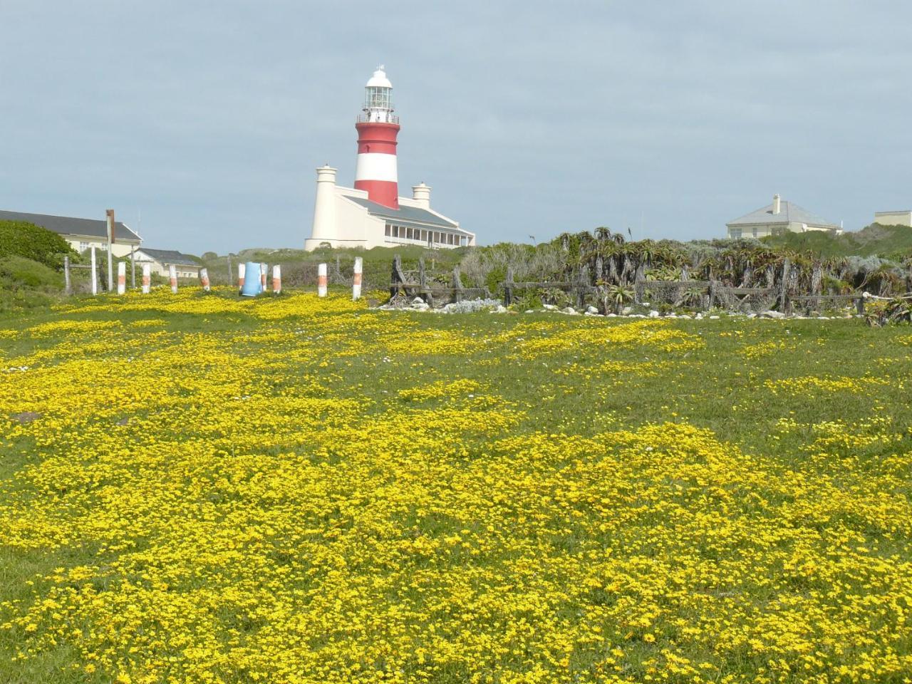 House Of 2 Oceans Apartamento Agulhas Exterior foto